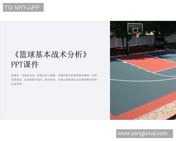 深入分析北京篮球队的进攻策略与战术特点探讨