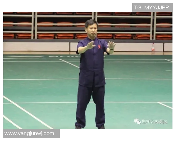 杨军专访：从青涩少年到羽毛球高手的成长之路与心路历程回顾